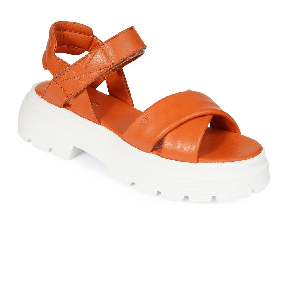 Greyder Women's Stylish Open Sandals