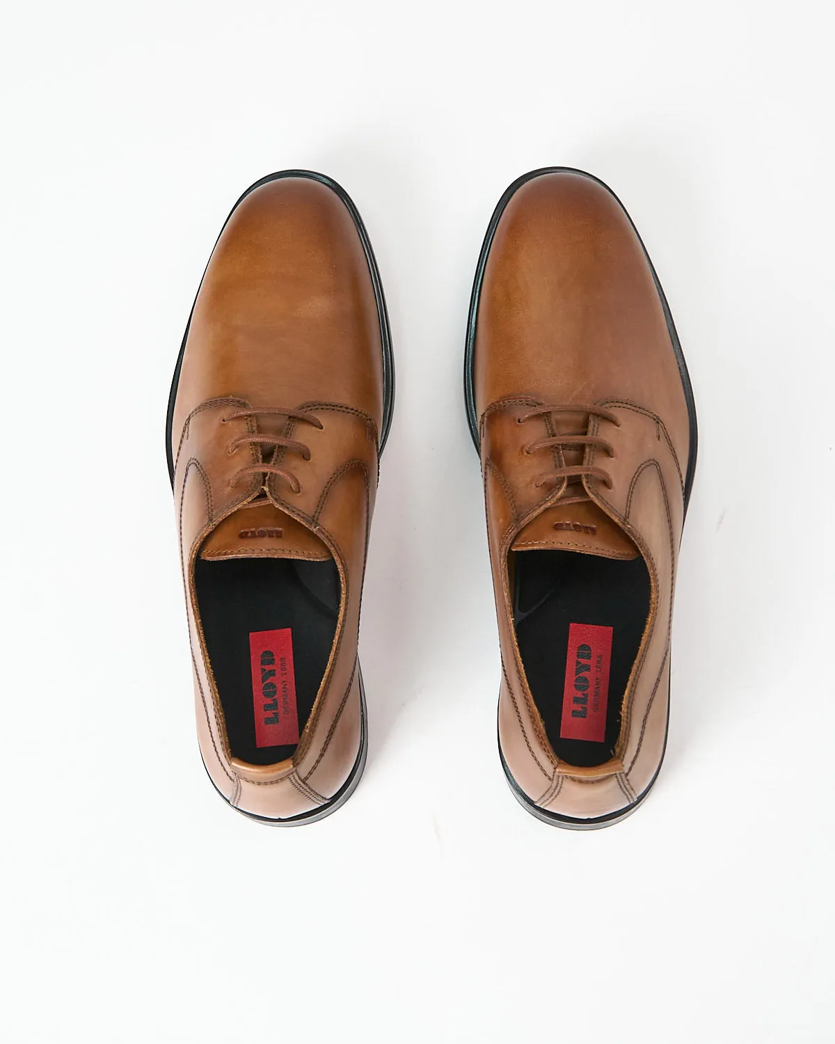 Larin Derby Shoes