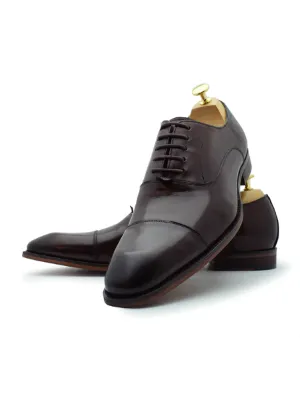 Paolo Vandini Brown Thistle Toe Cap Shoe